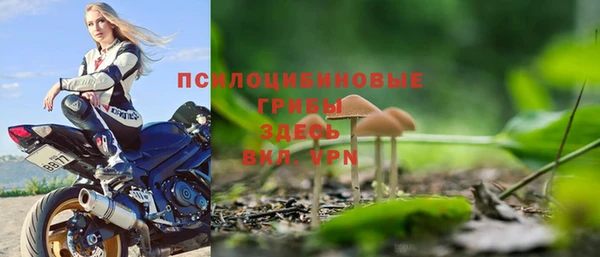 СК Арсеньев
