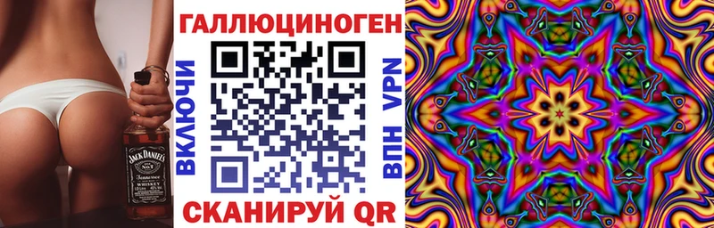 Псилоцибиновые грибы Psilocybe  хочу   Ясный 